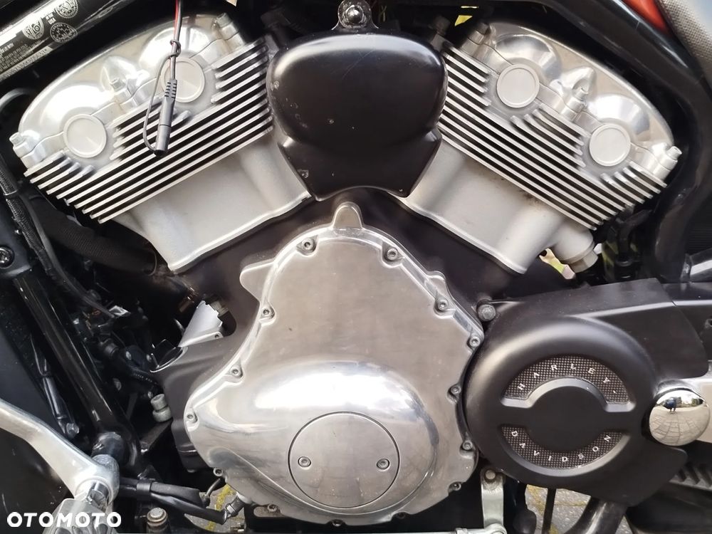 Harley-Davidson Softail V-Rod - 6