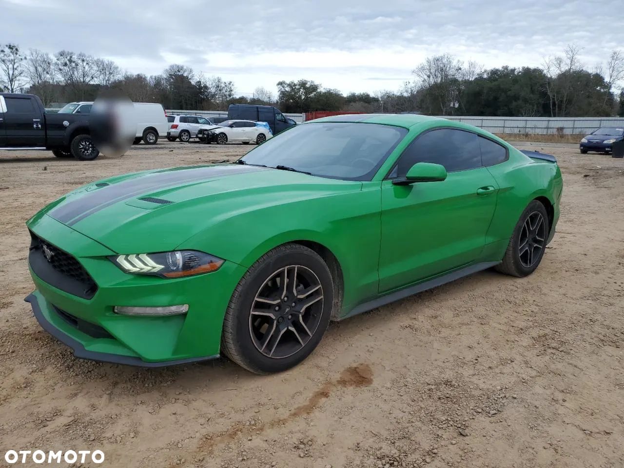 Ford Mustang 2.3 EcoBoost - 1