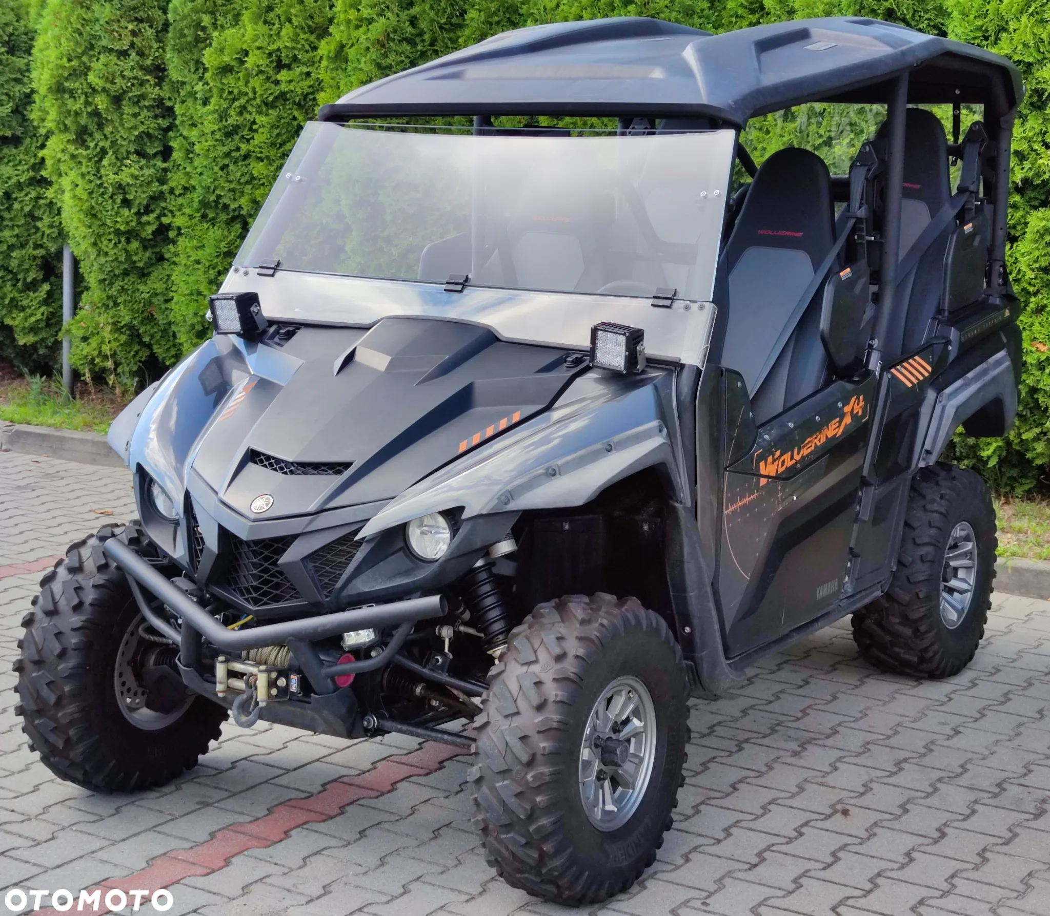 Yamaha Wolverine - 20