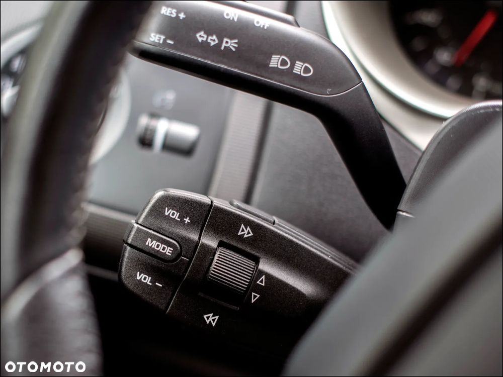 Seat Ibiza - 21