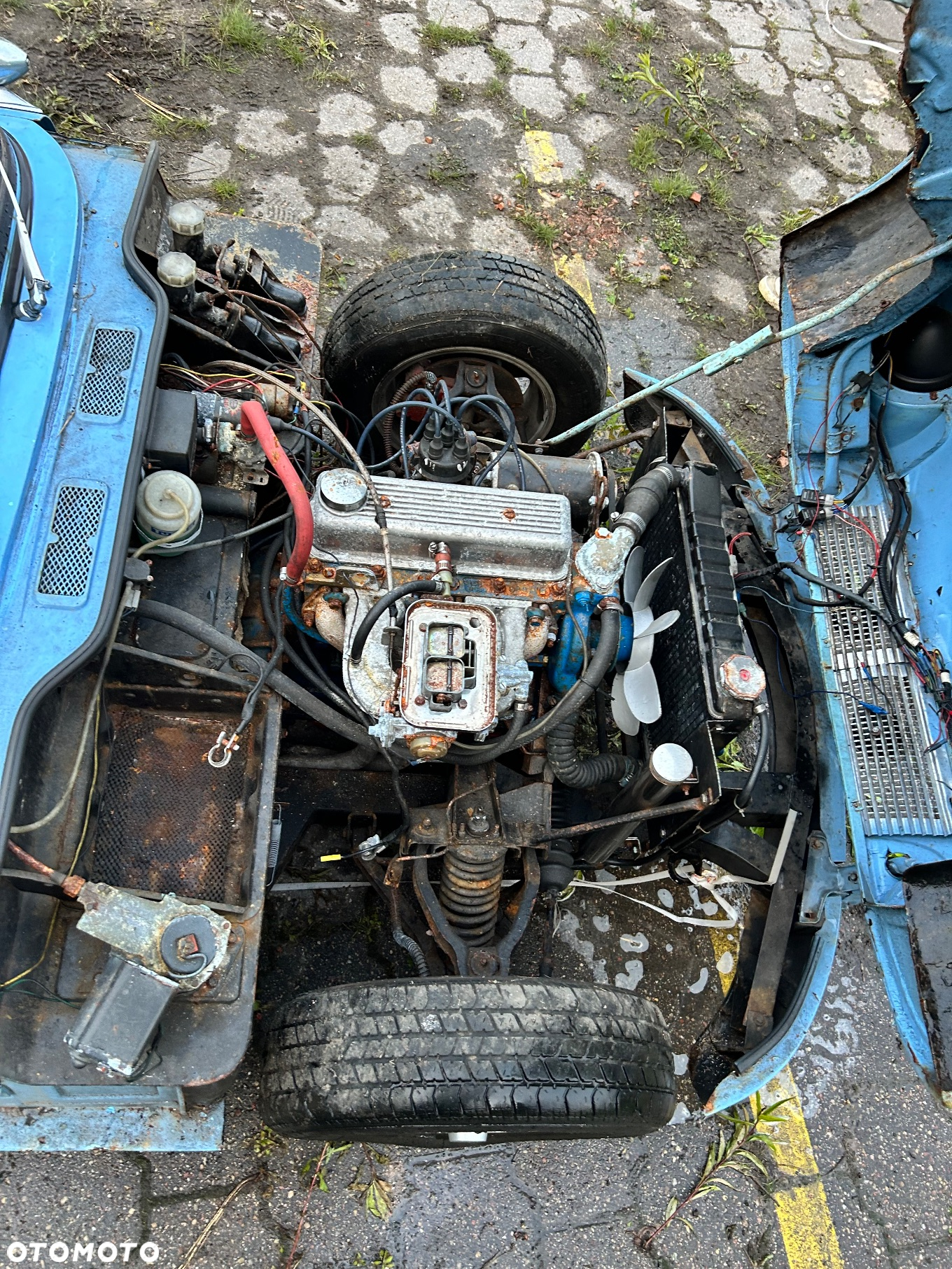 Triumph Spitfire - 14