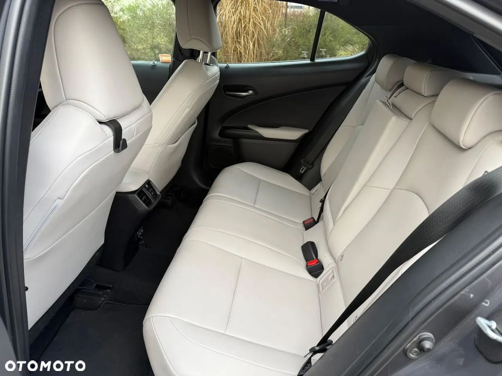 Lexus UX 250h GPF F Sport Design 2WD - 12