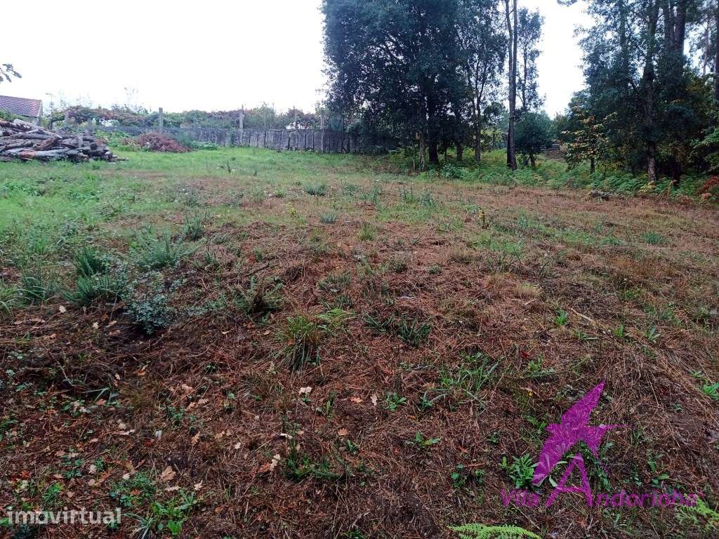 Terreno em Cerdal - Grande imagem: 3/12