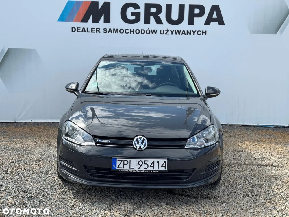 Volkswagen Golf 1.6 TDI 4Motion BlueMotion Technology Allstar - 3