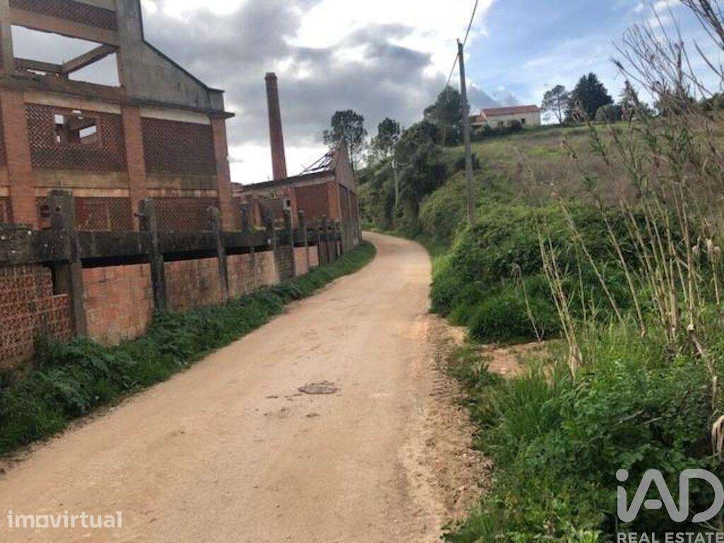 Loja / Estabelecimento Comercial em Ventosa de 6851,00 m2 - Grande imagem: 2/9