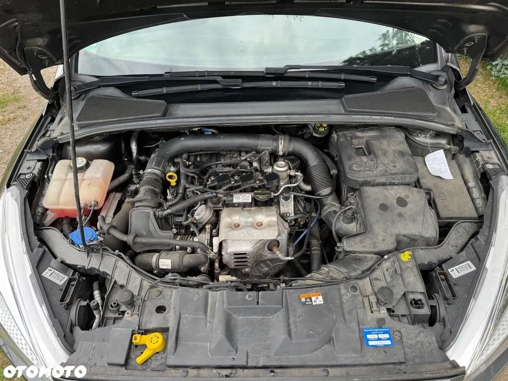 Ford Focus - 9
