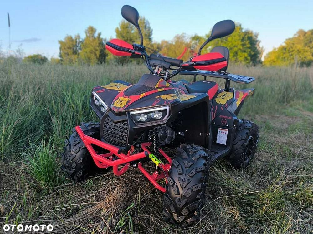 Berreta Bulldog - 2