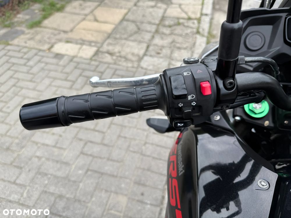 Kawasaki Versys 650 - 12