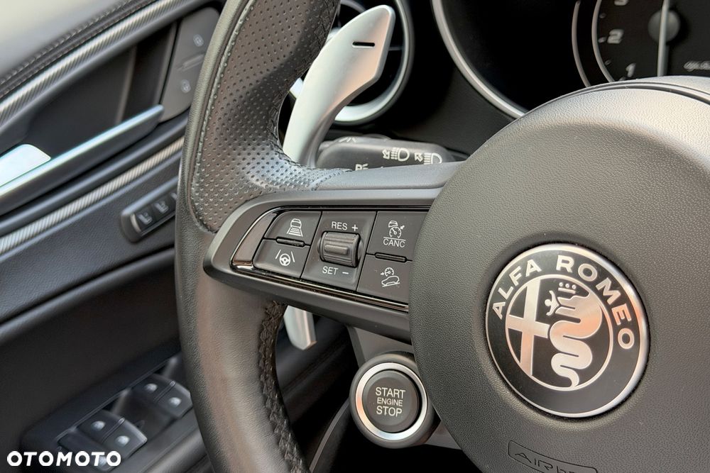 Alfa Romeo Stelvio 2.0 Turbo Veloce Q4 - 8