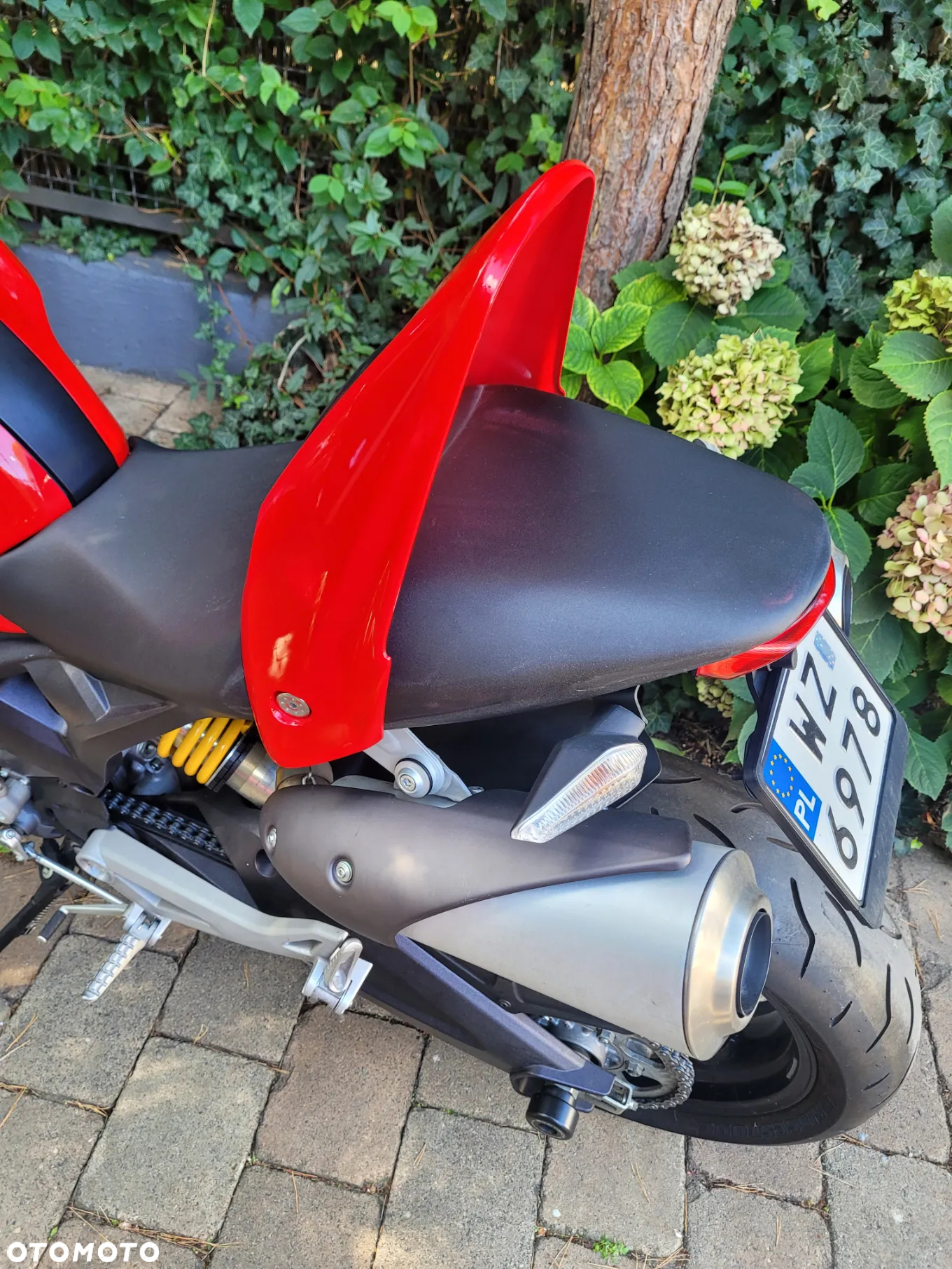 Ducati Monster - 9