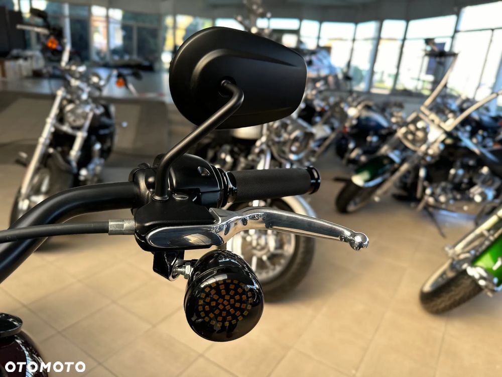 Harley-Davidson Softail Low Rider - 27