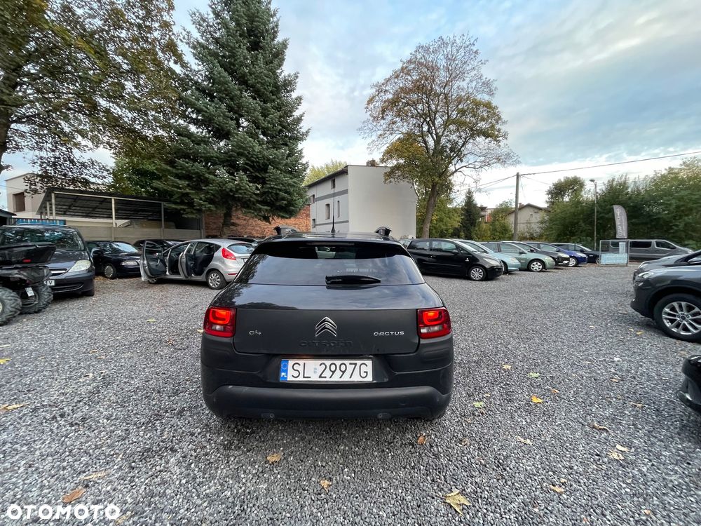 Citroën C4 Cactus - 13