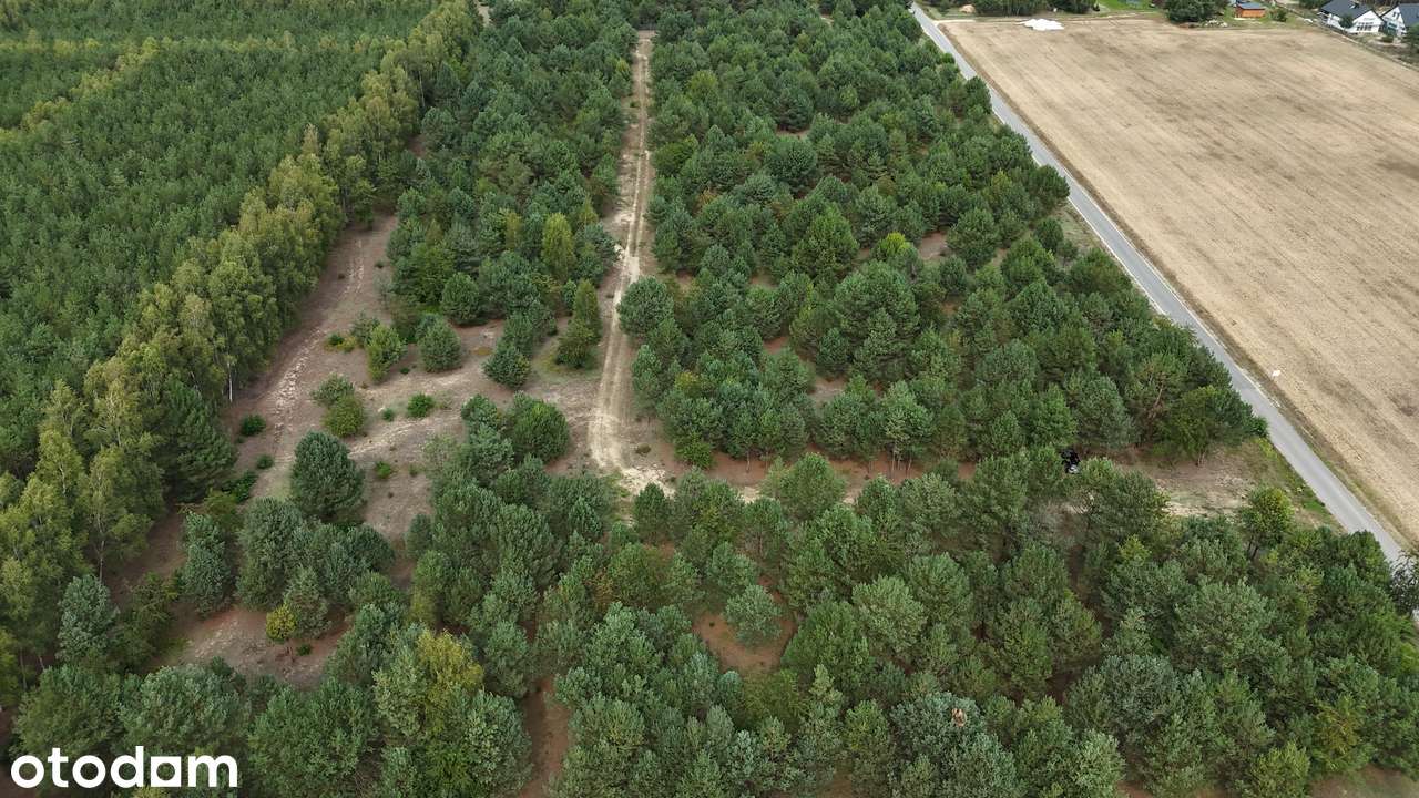 Działki budowlane pośród jezior i lasów - Pełny obrazek: 2/20