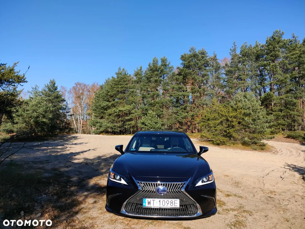 Lexus ES 300h Business Edition + - 12