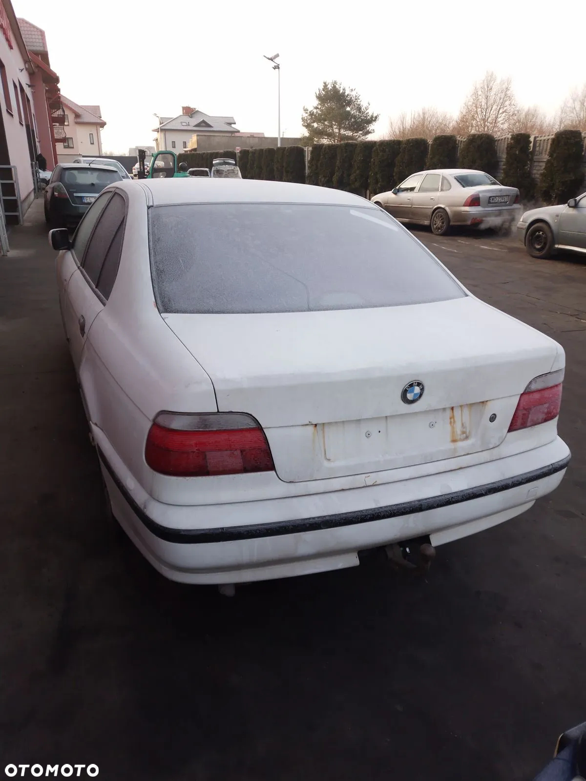 BMW E39 95-00 2.5 523I M52 KRATKI NAWIEWU 300/0 ALPINWEISS - 3