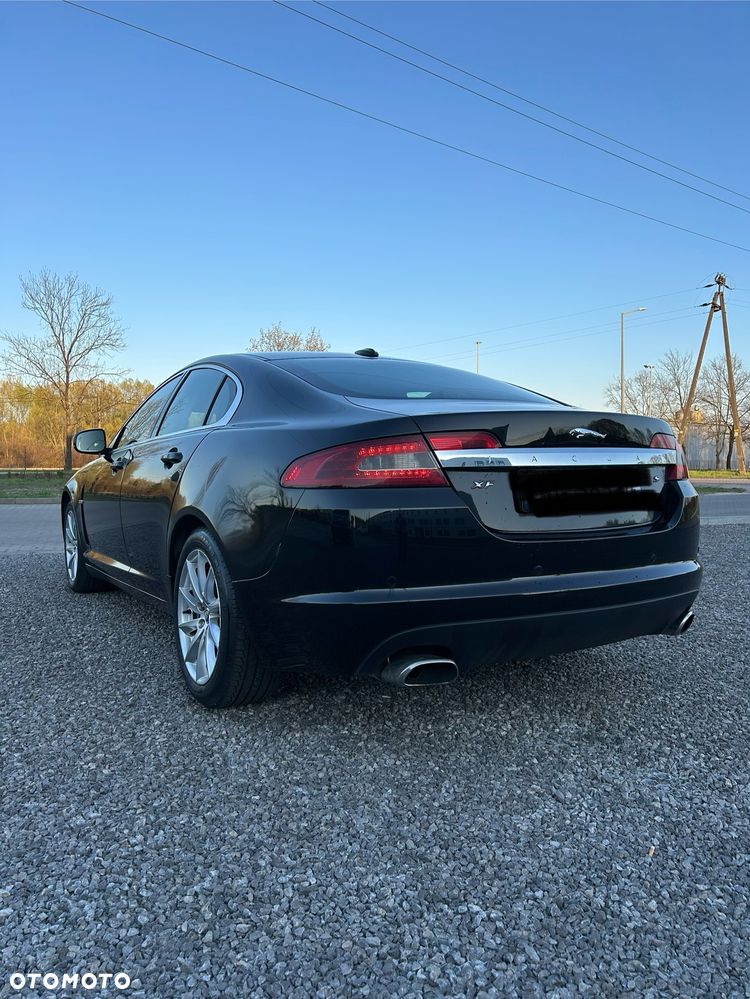 Jaguar Inny - 5