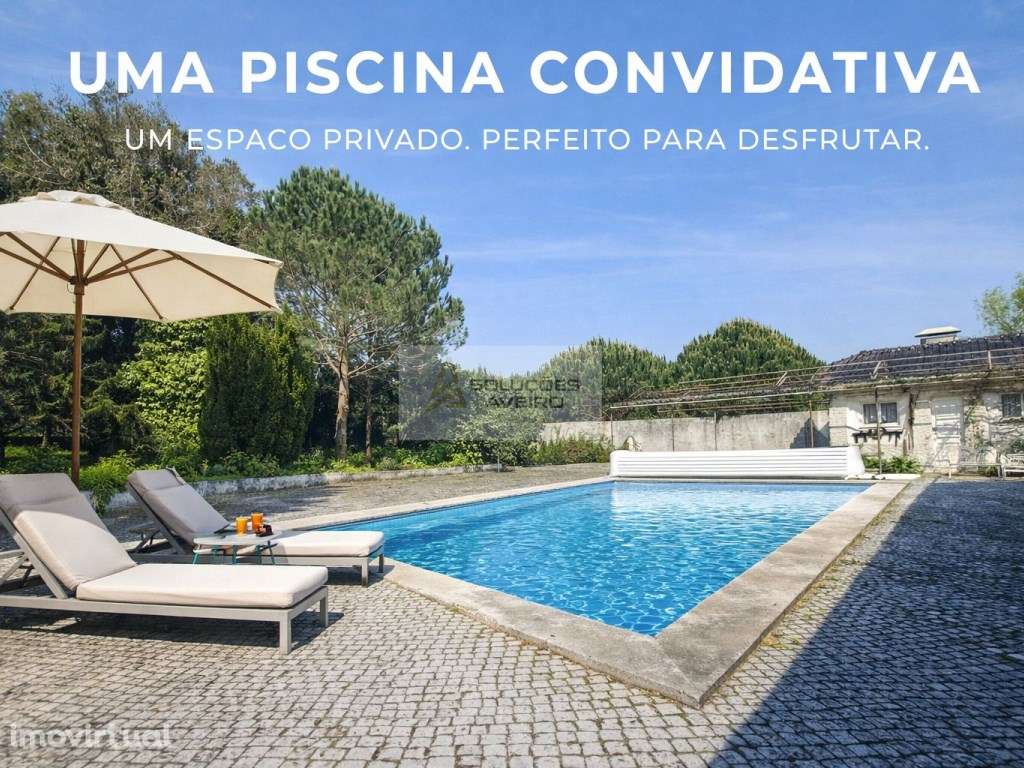 QUINTA EXCECIONAL COM 34.000 m² NO DISTRITO DE AVEIRO UM ATIVO ÚNIC... - Grande imagem: 2/60