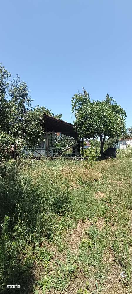 TEREN INTRAVILAN 2.449 MP-BREASTA,DOLJ| ASFALT + UTILITĂȚI LA POARTĂ - Imagine principală: 4/6