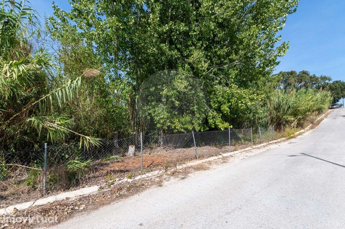 Quinta T3 para venda - Grande imagem: 5/50