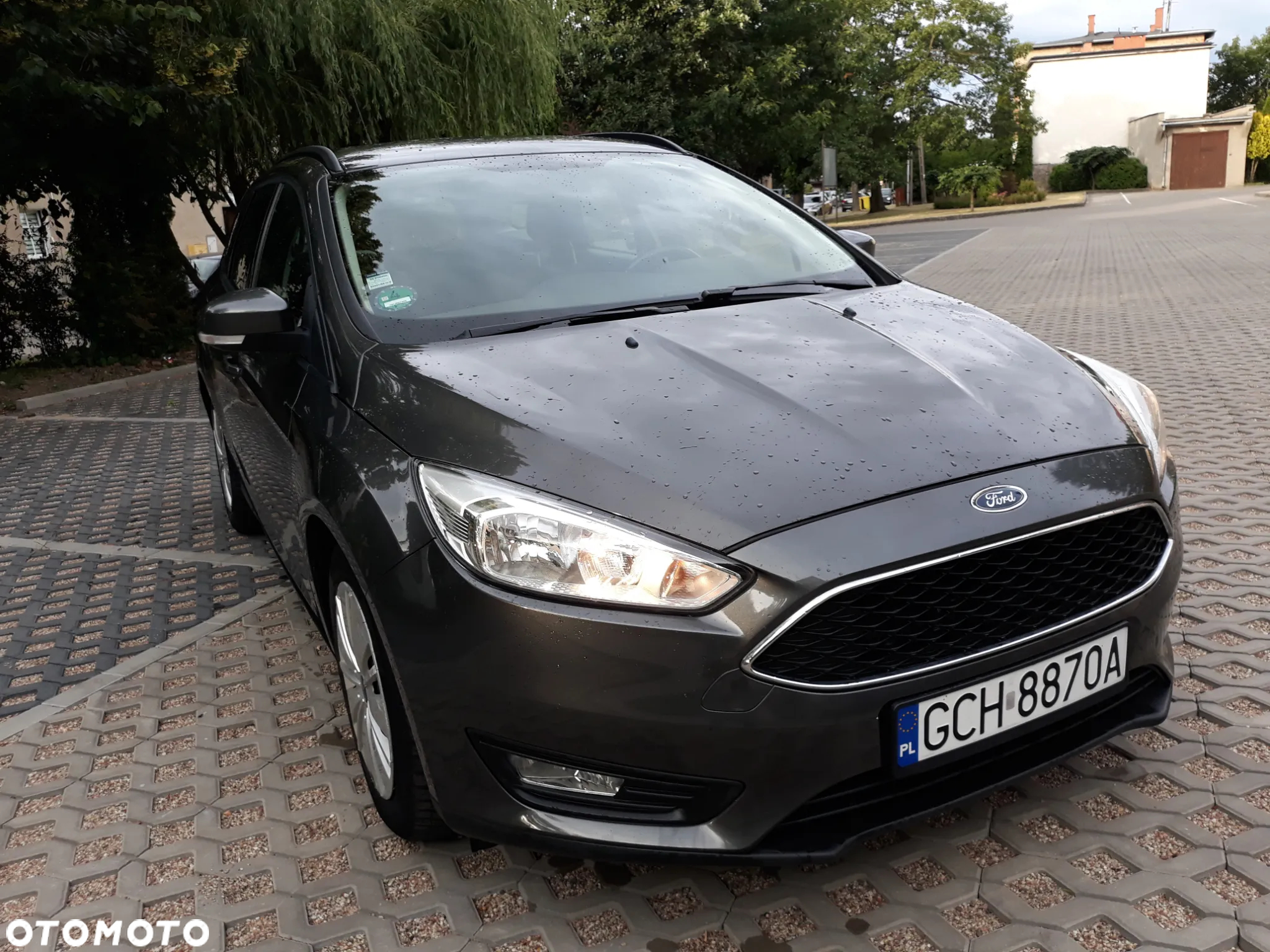 Ford Focus - 8