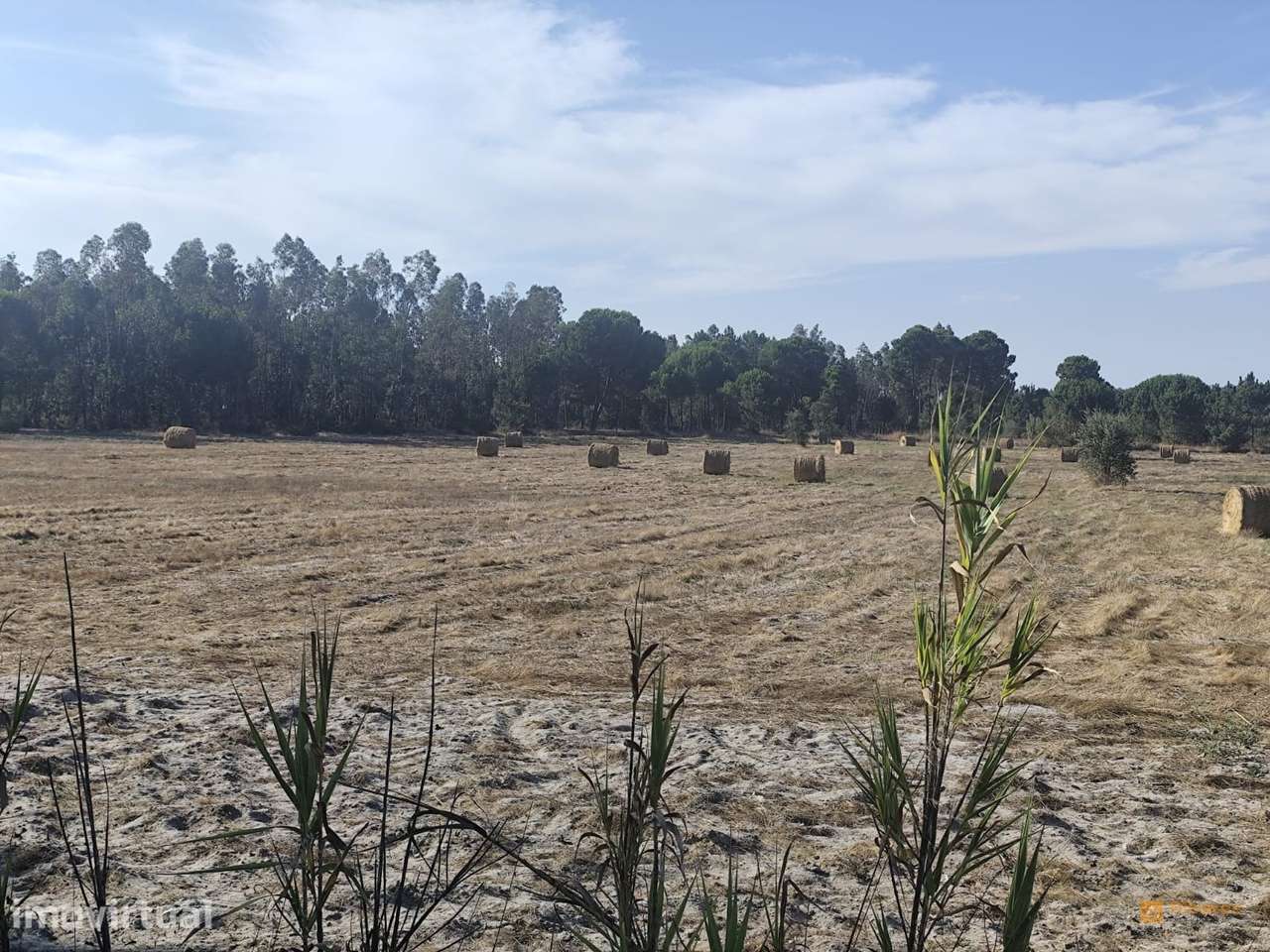 Terreno Para Construção  Venda em Branca,Coruche - Grande imagem: 2/7