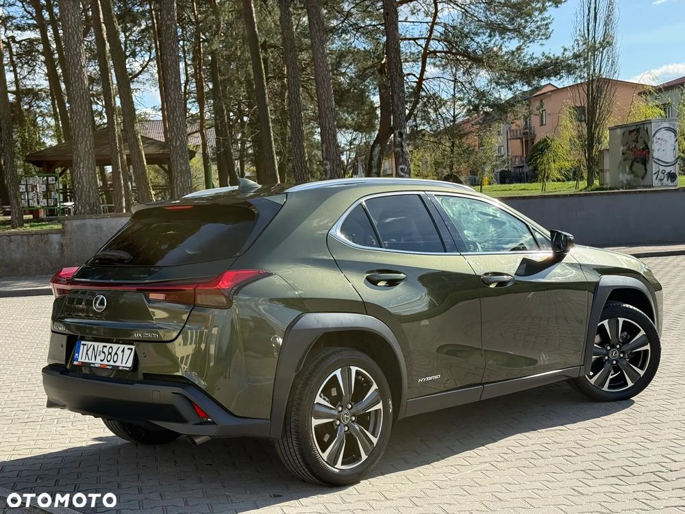 Lexus UX 250h F Sport 2WD - 8