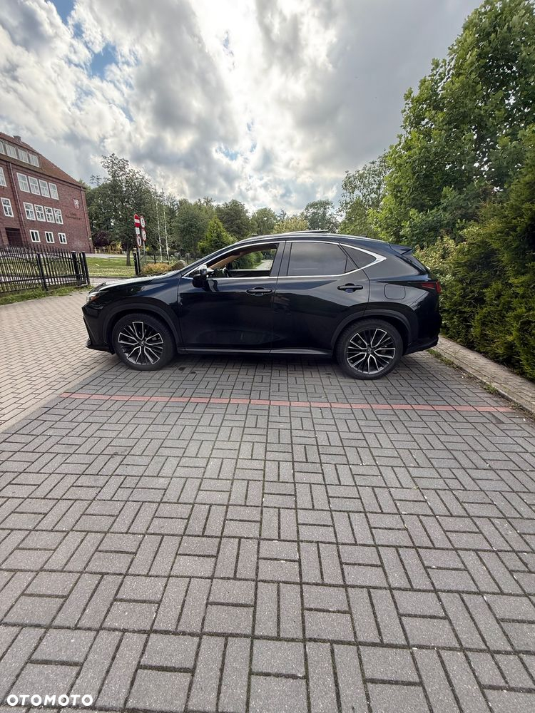 Lexus NX 350h Omotenashi AWD - 4