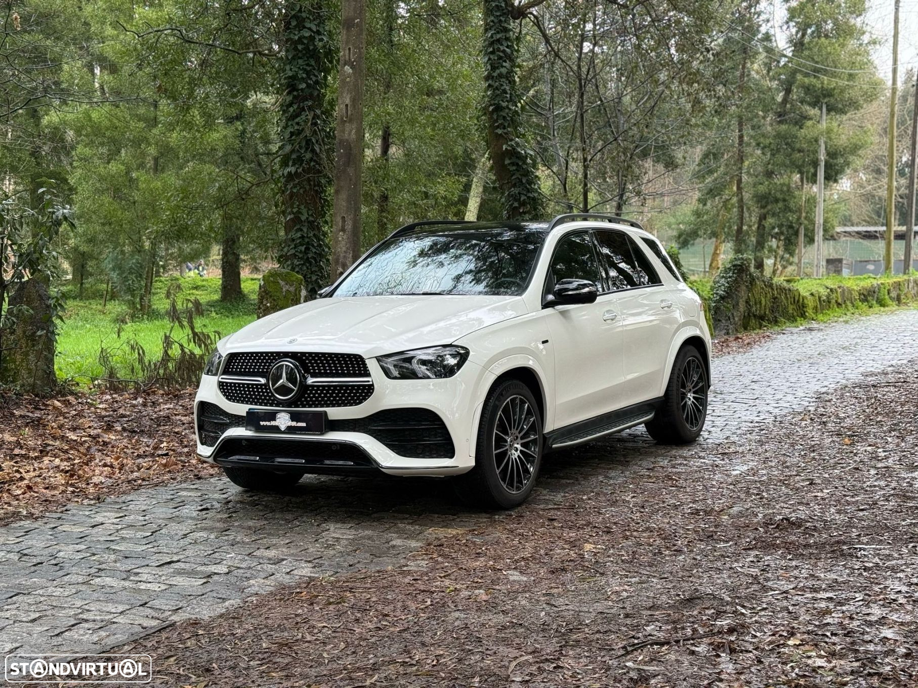 Mercedes-Benz GLE 350 de 4Matic - 38