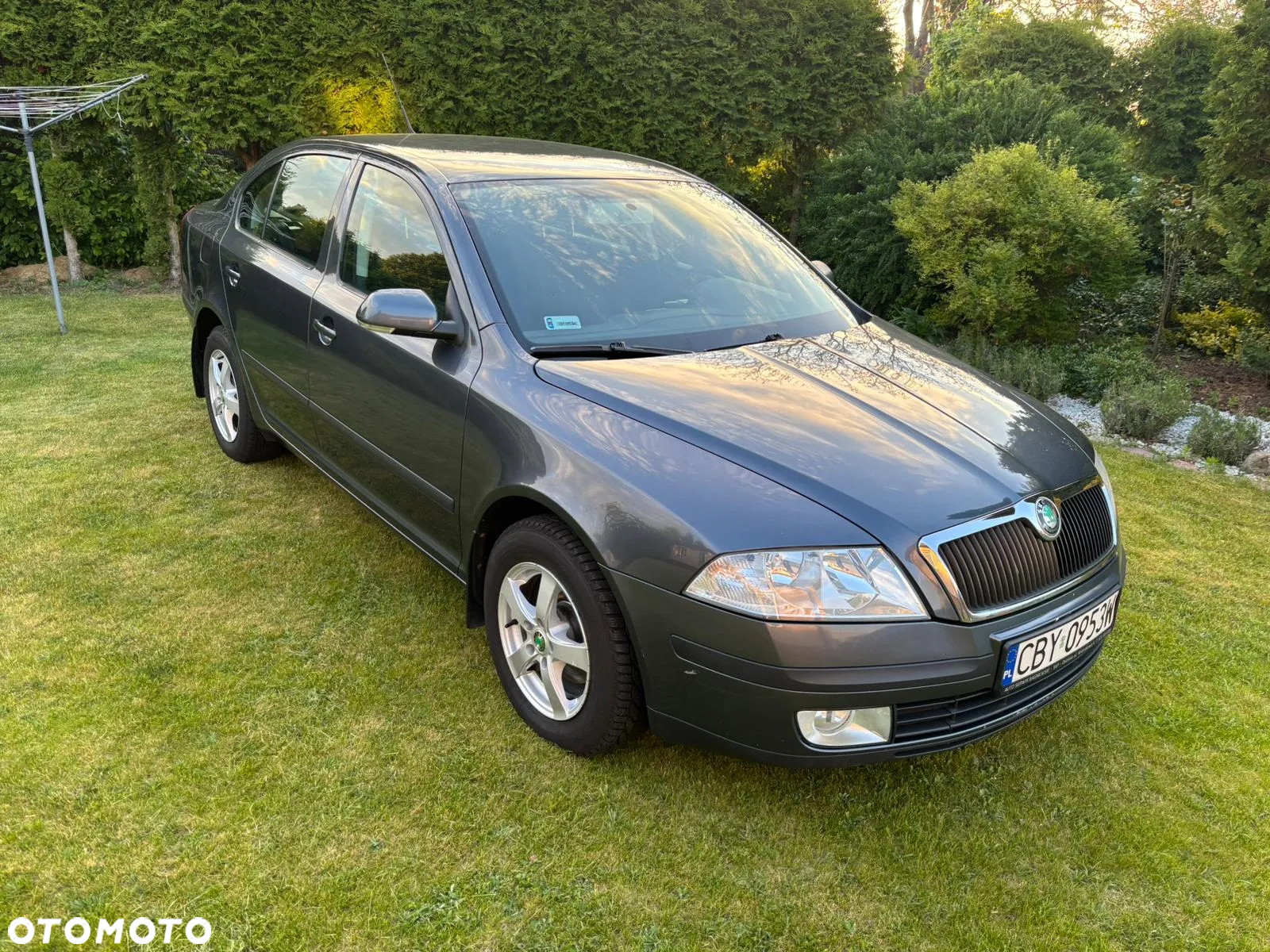 Skoda Octavia - 4