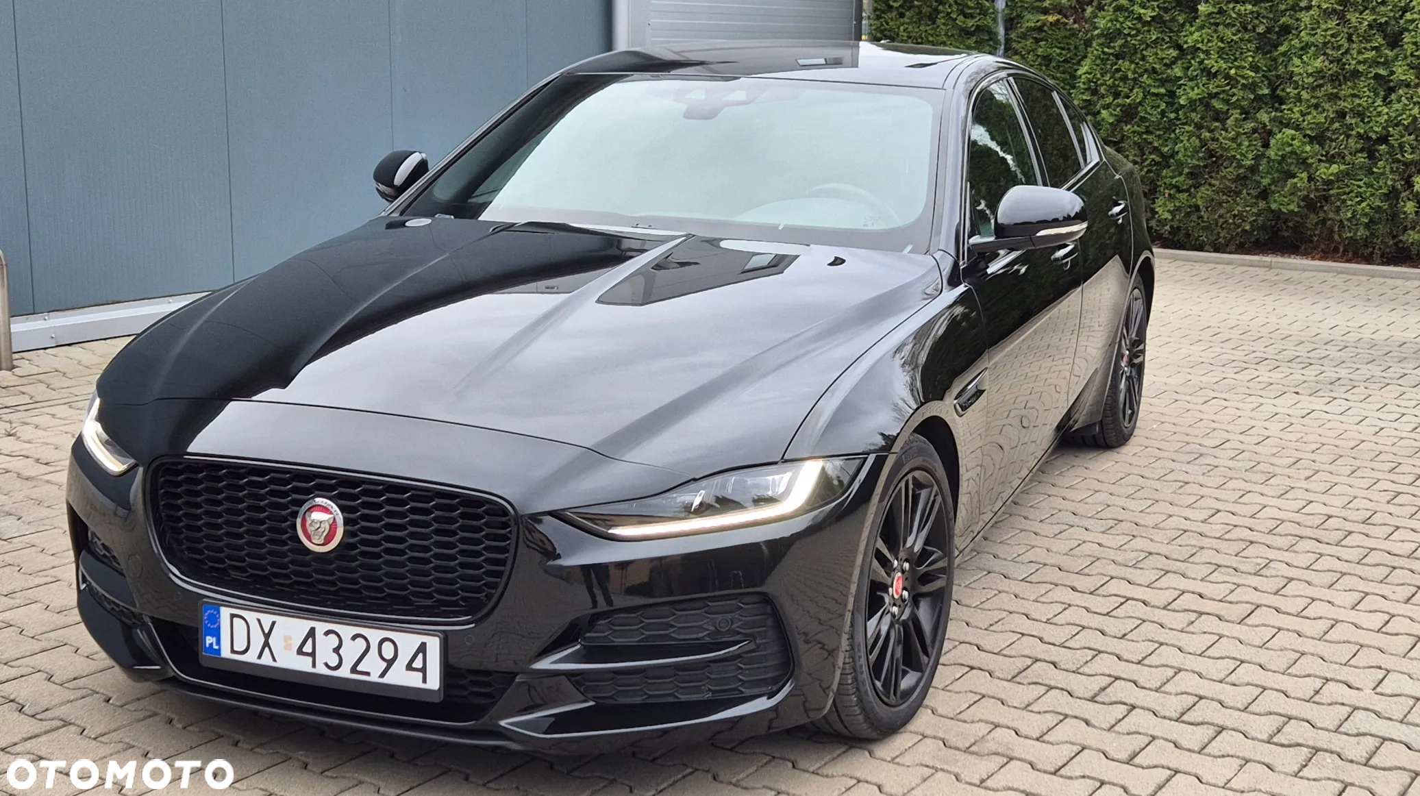 Jaguar XE - 8