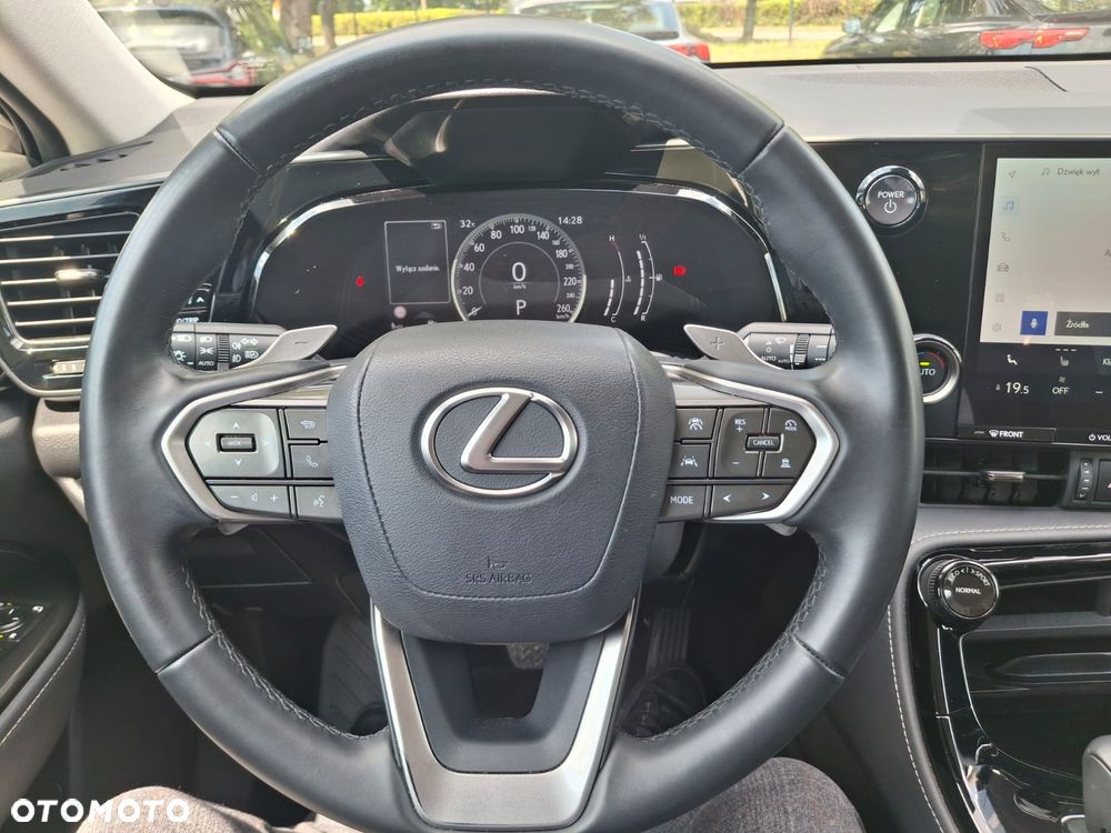 Lexus NX - 10