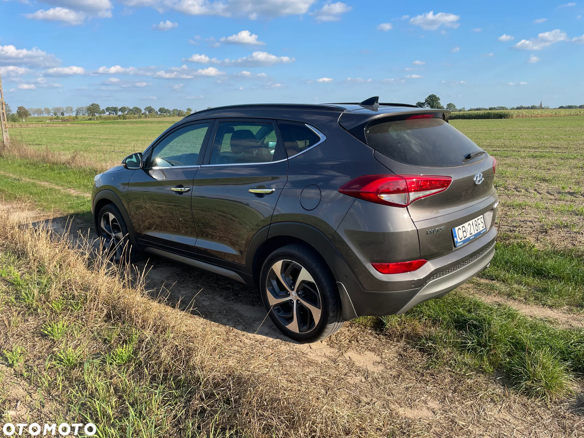 Hyundai Tucson 2.0 CRDI Premium 4WD - 4