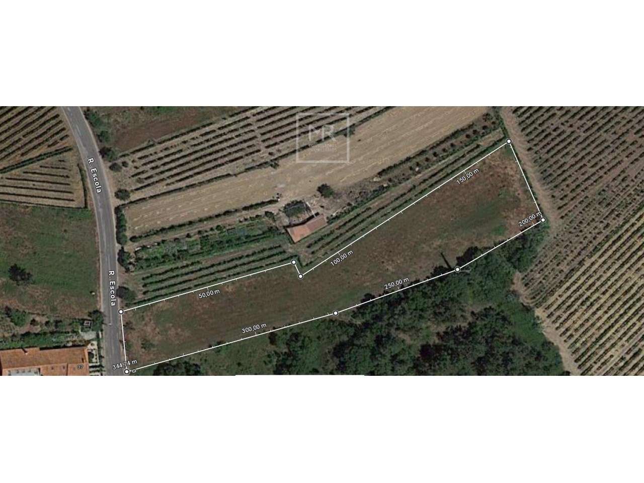 Terreno  Venda em Amoreira da Gândara, Paredes do Bairro e Ancas,Anadi - Grande imagem: 4/6