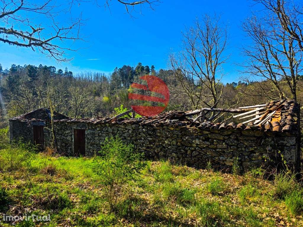 MOINHOS DE CEREAIS - Grande imagem: 5/13