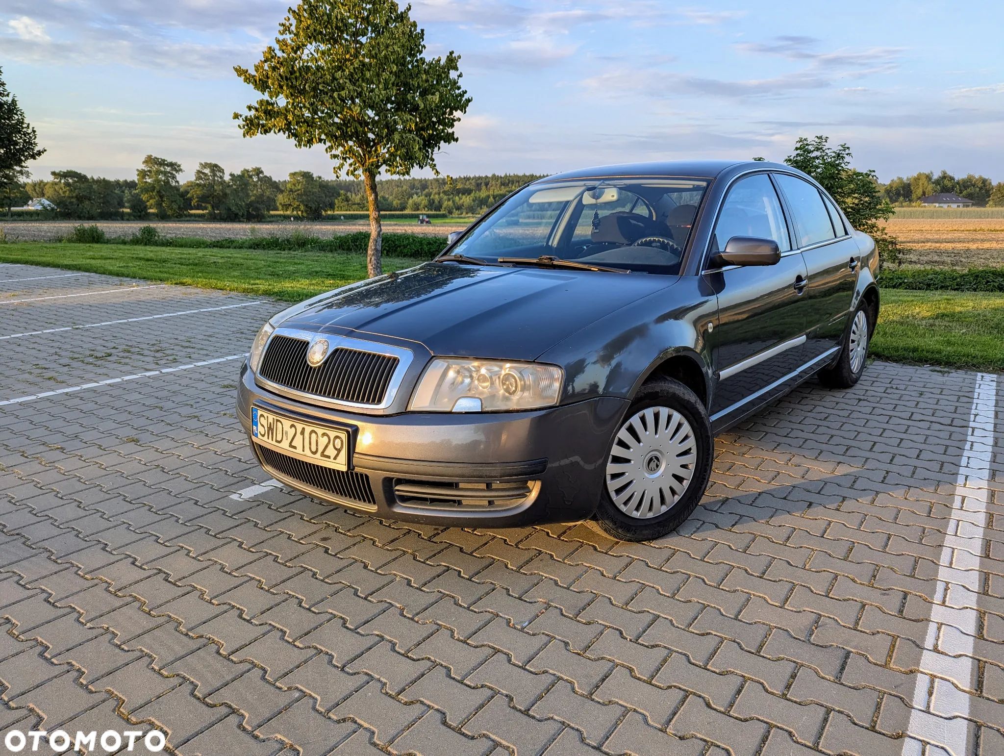 Skoda Superb 1.9 TDI Elegance - 1