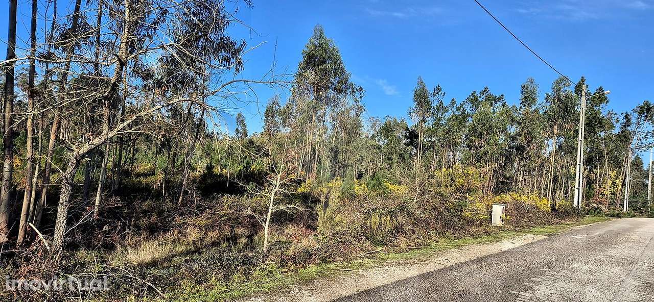 Terreno  para venda - Grande imagem: 4/8