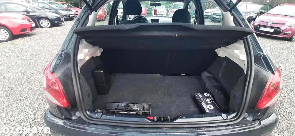 Peugeot 206 plus - 36