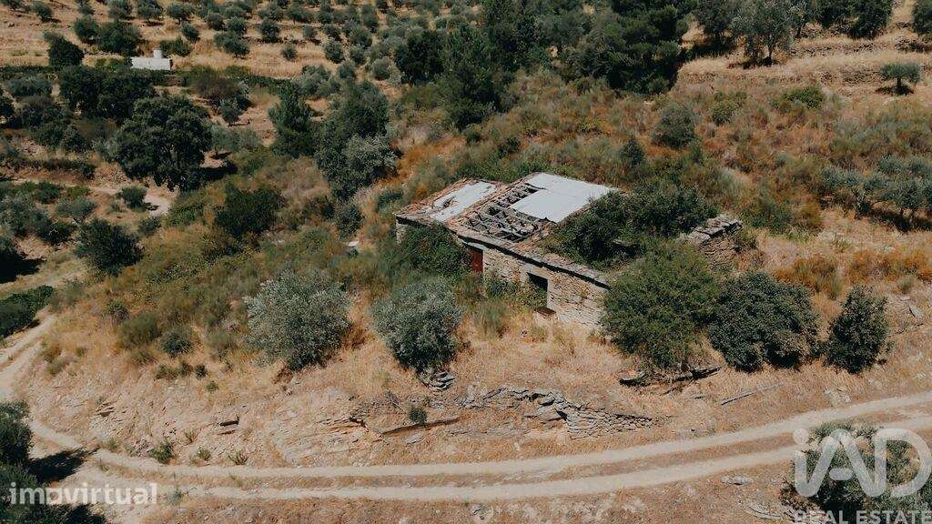 Quinta em Vila Seca e Santo Adrião - Grande imagem: 3/34