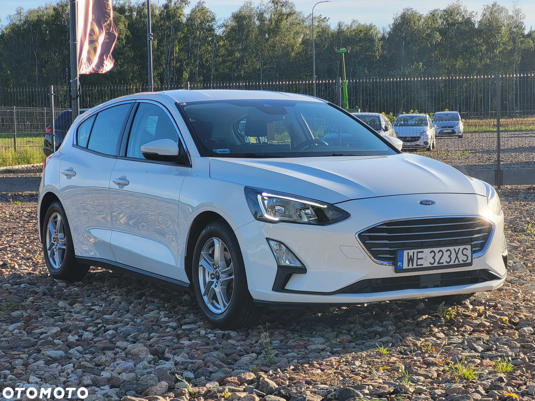 Ford Focus 1.5 EcoBlue Trend Edition - 8