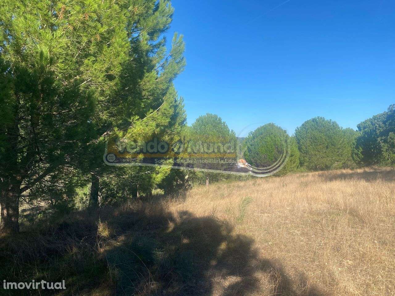 Terreno em Montargil (MTG002) - Grande imagem: 3/8