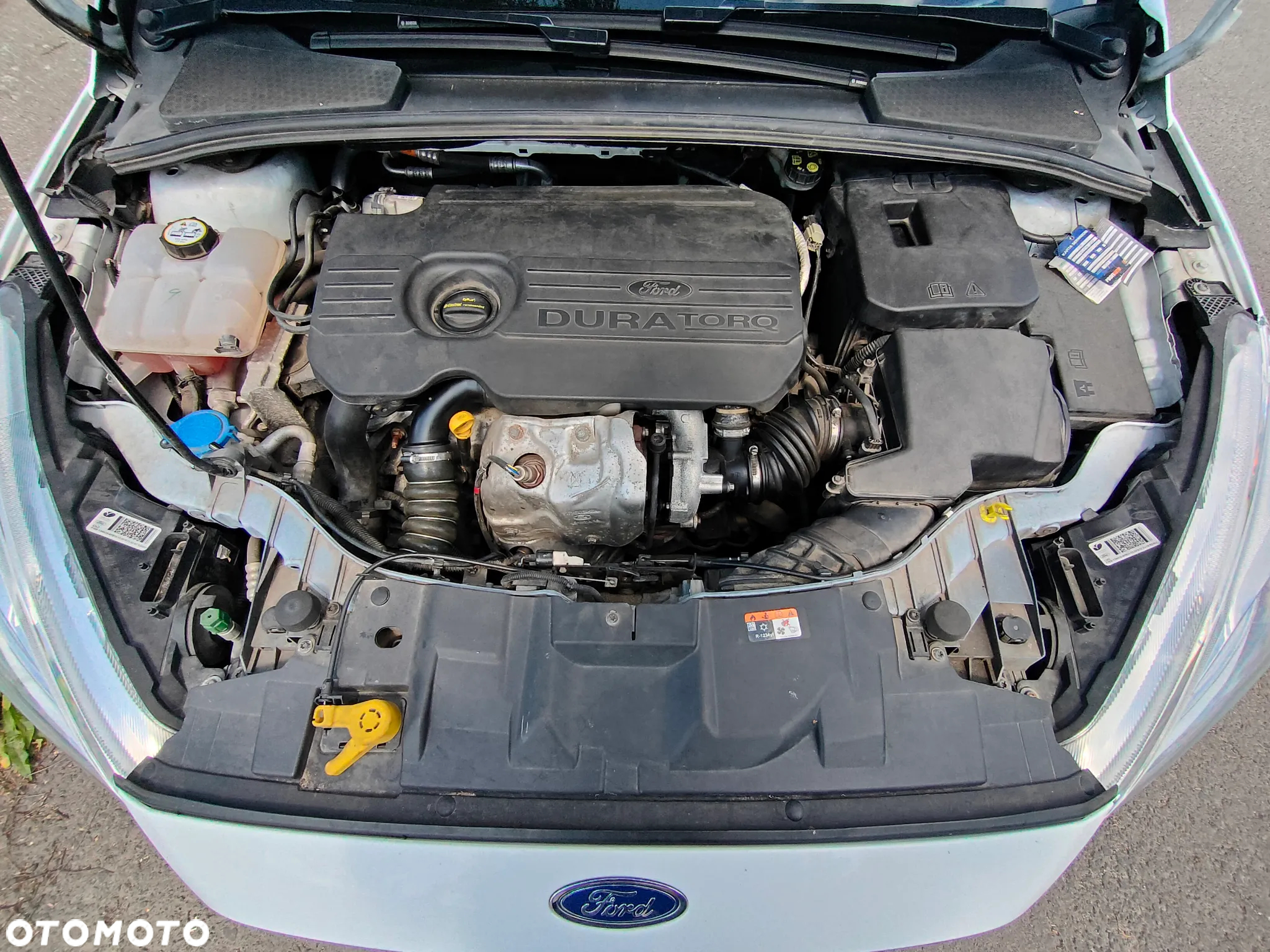 Ford Focus 1.6 TDCi Gold X (Trend) - 24