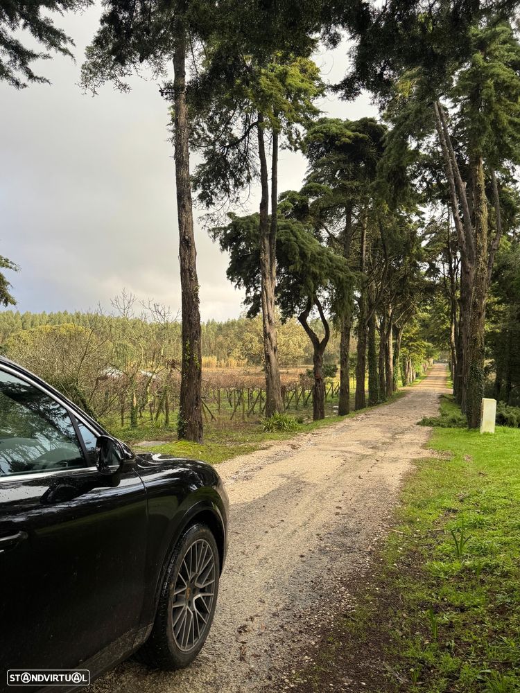 Porsche Cayenne E-Hybrid - 6