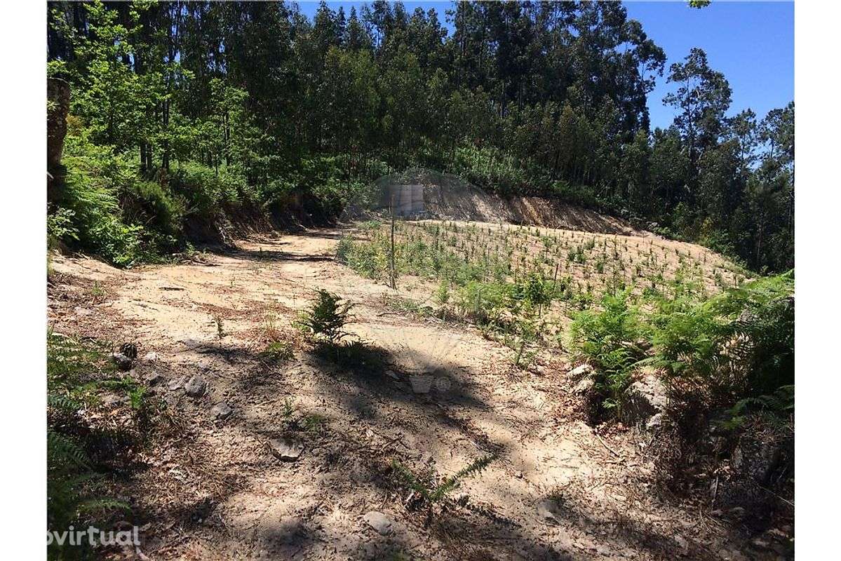 Terreno  para venda - Grande imagem: 3/20