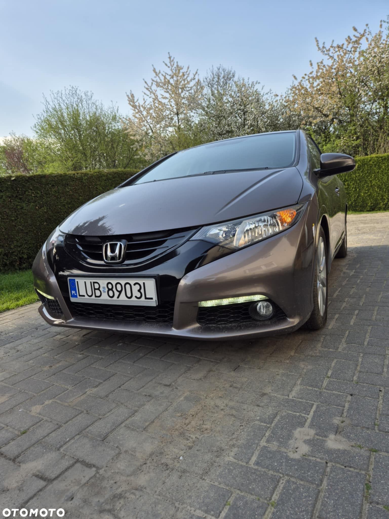 Honda Civic - 1