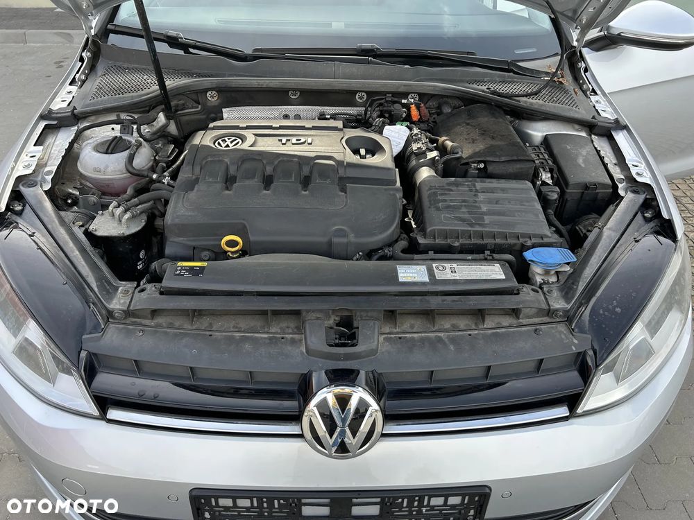 Volkswagen Golf - 17