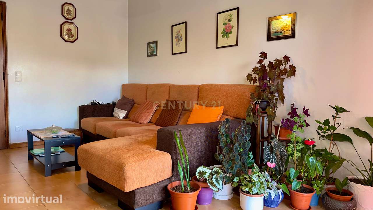 Apartamento T3 em Santa Maria Maior - Grande imagem: 2/17