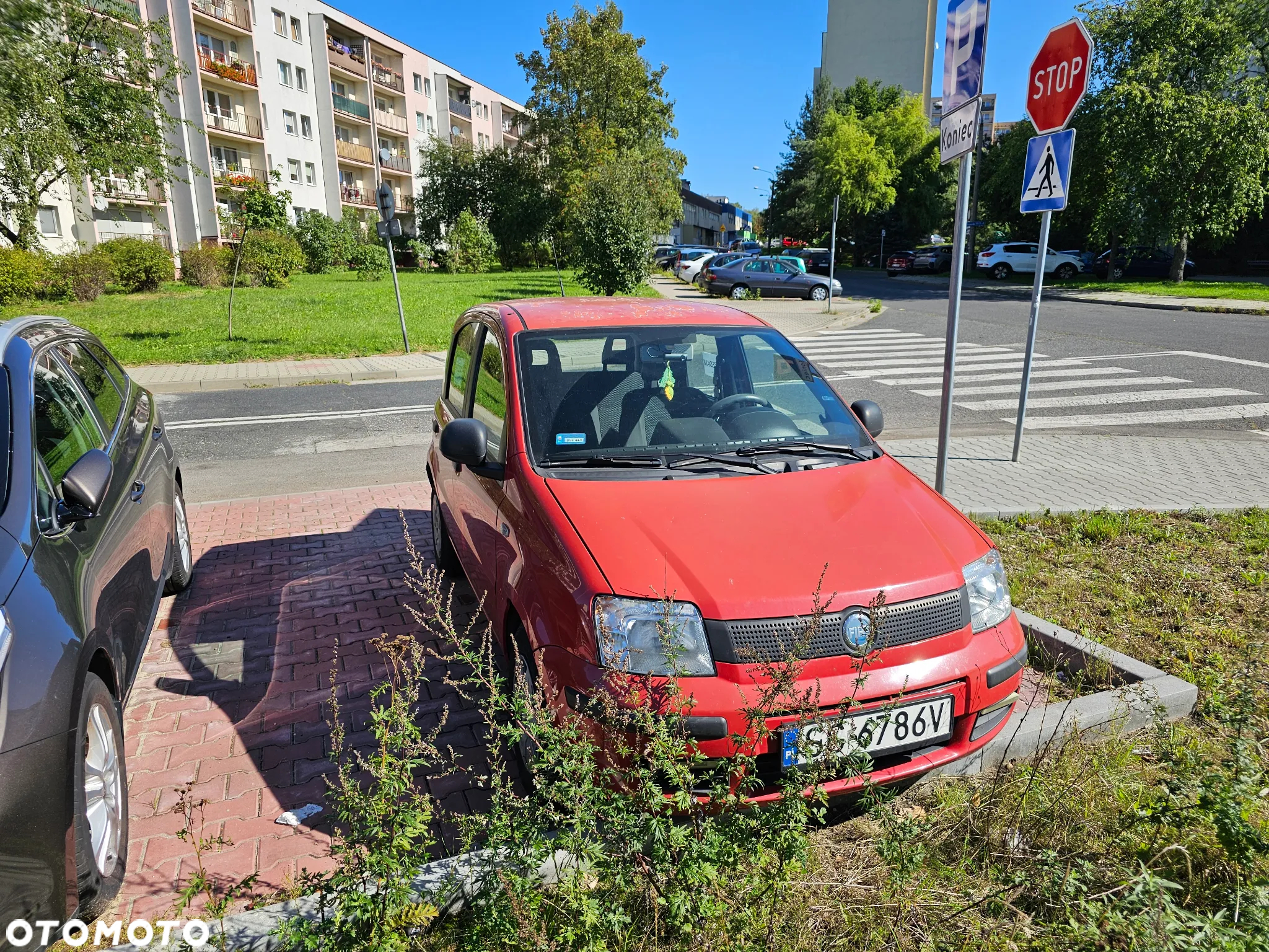 Fiat Panda - 5