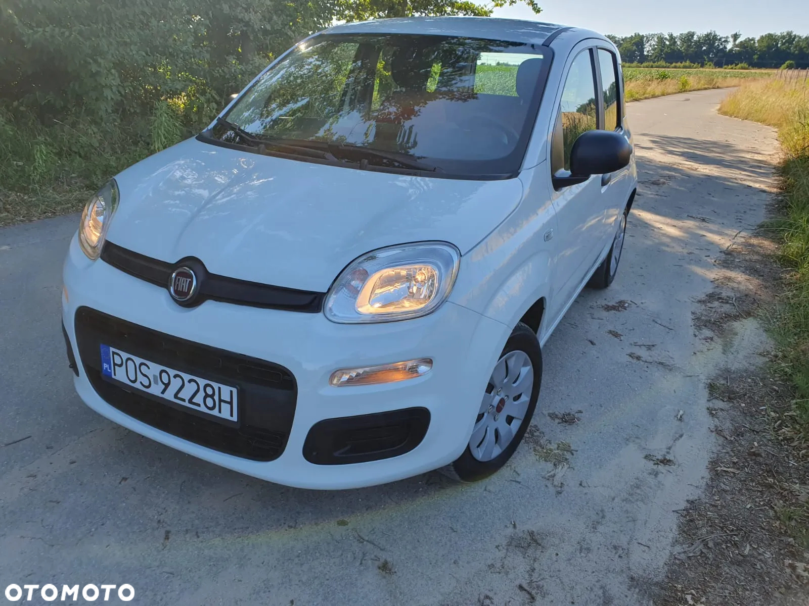 Fiat Panda 1.2 - 2