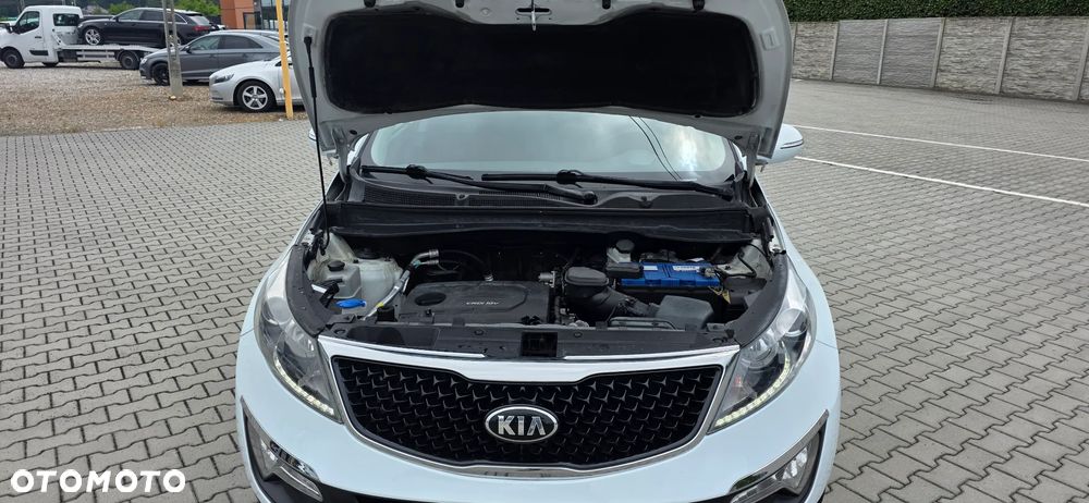 Kia Sportage - 21