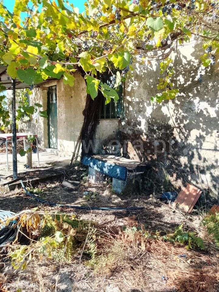 Quinta T3 / Covilhã, Teixoso - Grande imagem: 4/20